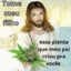 [OFICIAL] - beCkzinn --&#039;