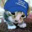 助猫