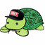 SneakyTurtle
