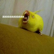 aaaaaaaaaaa