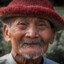 The Bingo Man