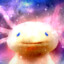 ChunkyAxolotl