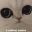 Felix
