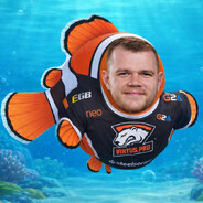 NEMO