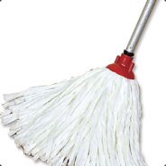 mop's avatar