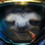 LazySloth