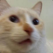 xxMarsVoltaxx - steam id 76561197960526357