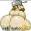 webi wabo