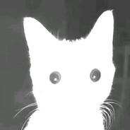 Участник