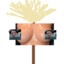 broomstickwithboobs
