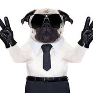 人不白给枉少年