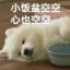 起司小莹