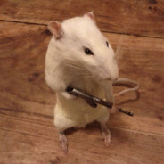 The Other RAT