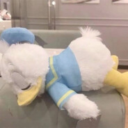 抱着嫦娥烤玉兔