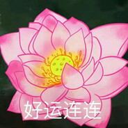 好运莲莲
