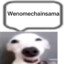 Wenomechainsama