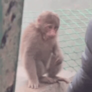 別鷄巴給我跳傘我要刷抖音