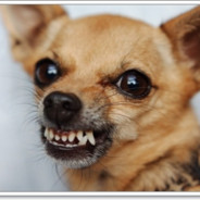 แง่ง ๆๆๆ