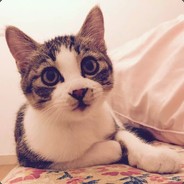 桃树枝 名字独一份