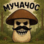 МУЧАЧОС