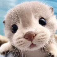 受命於天既寿永昌