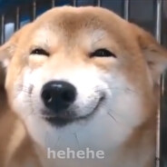 ThePrettyWolfO'vSomeone