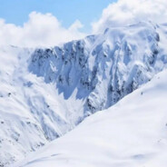 人且再无相逢期