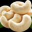 cashews come from the fruit