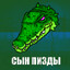 +74959528833 ЧИСТКА КОВ's avatar