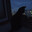 V0LK S BROODST1T