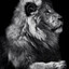 TheLion