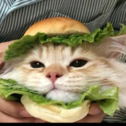 donk只是见我的门槛