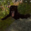 PANTHER