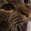Fluuflye's avatar