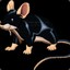 BlacK MoUsE