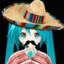 not Cartulina