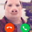 John Pork