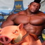 Hog Rider