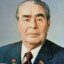 L. I. Brezhnev