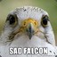 Falcon