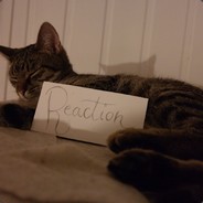 Reactiion