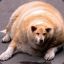 Fat Dog