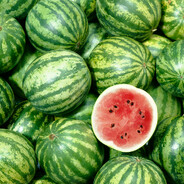 АРБУЗ В ПРАЙМЕ