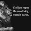 The Lion
