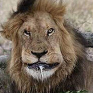 смерть в нищите