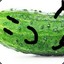 [CROP]CucumberMan