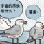 去码头整点薯条