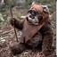 black_ewok