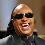 Stevie Wonder