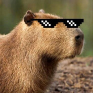 CAPIVARA